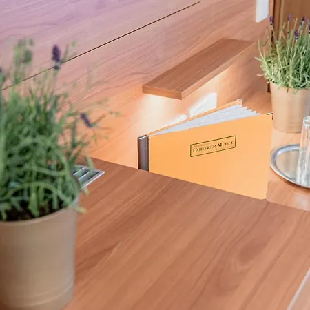 Hotel Wohlfuehlhotel Goiserer Muehle 4*