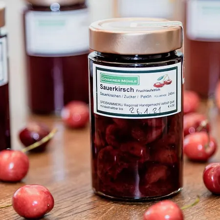 Wohlfuehlhotel Goiserer Muehle Hotel 4*