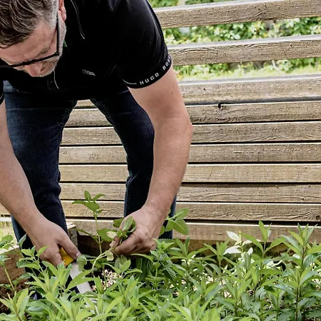 Wohlfühlhotel Goiserer Mühle 4*