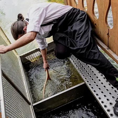 Hotel Wohlfühlhotel Goiserer Mühle 4*