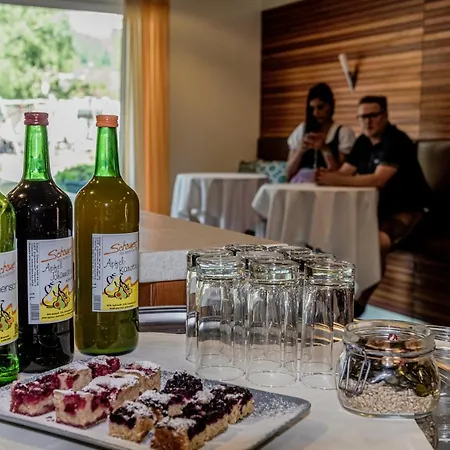 ホテル ヴォルヒューホテル ゴオイセラ ミューラ バート・ゴイーザーン