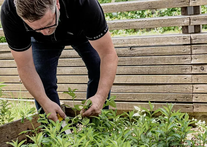 Wohlfuehlhotel Goiserer Muehle 4*