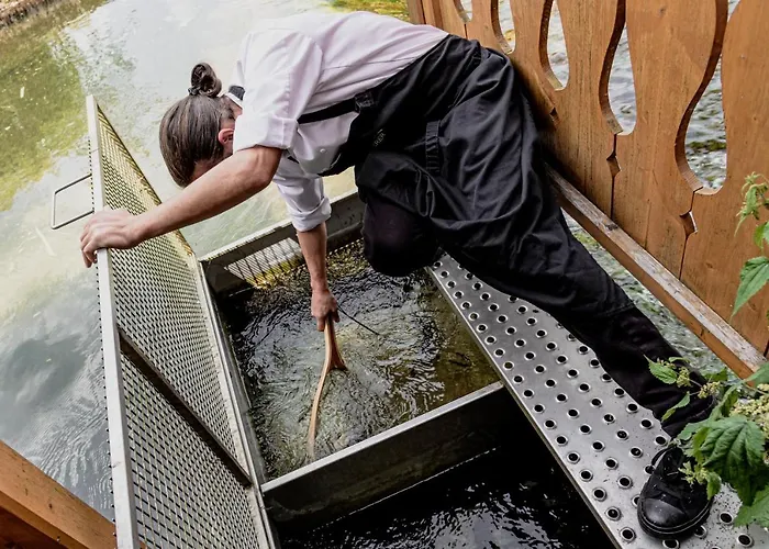 Ξενοδοχείο Wohlfuehlhotel Goiserer Muehle 4*