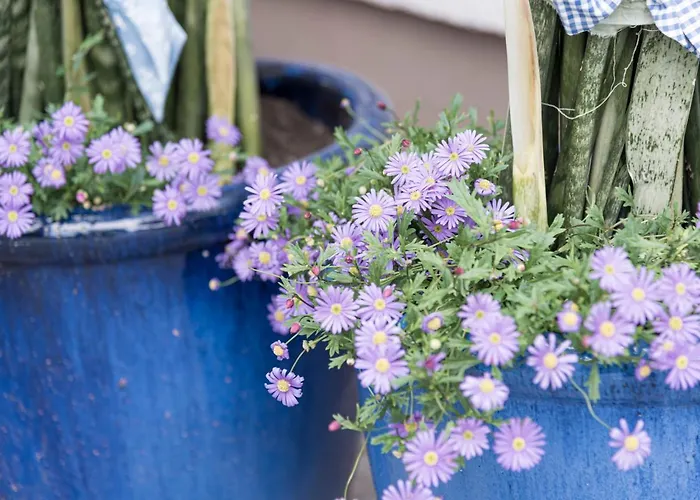 Hotel Wohlfühlhotel Goiserer Mühle