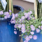 فندق Wohlfuehlhotel Goiserer Muehle