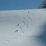 Wohlfuehlhotel Goiserer Muehle 4*