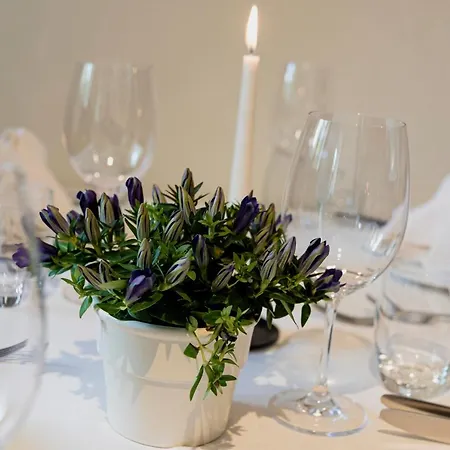 Wohlfuehlhotel Goiserer Muehle 4*