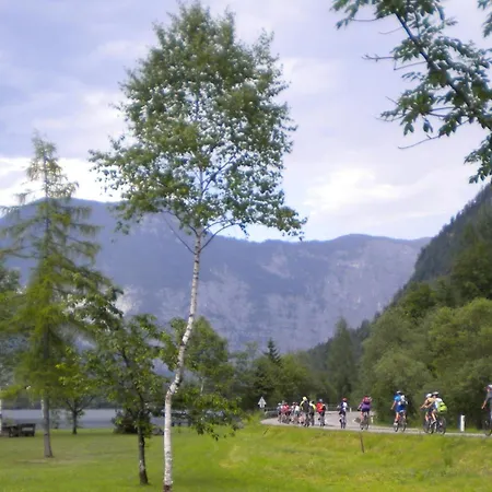 Wohlfuehlhotel Goiserer Muehle 4*